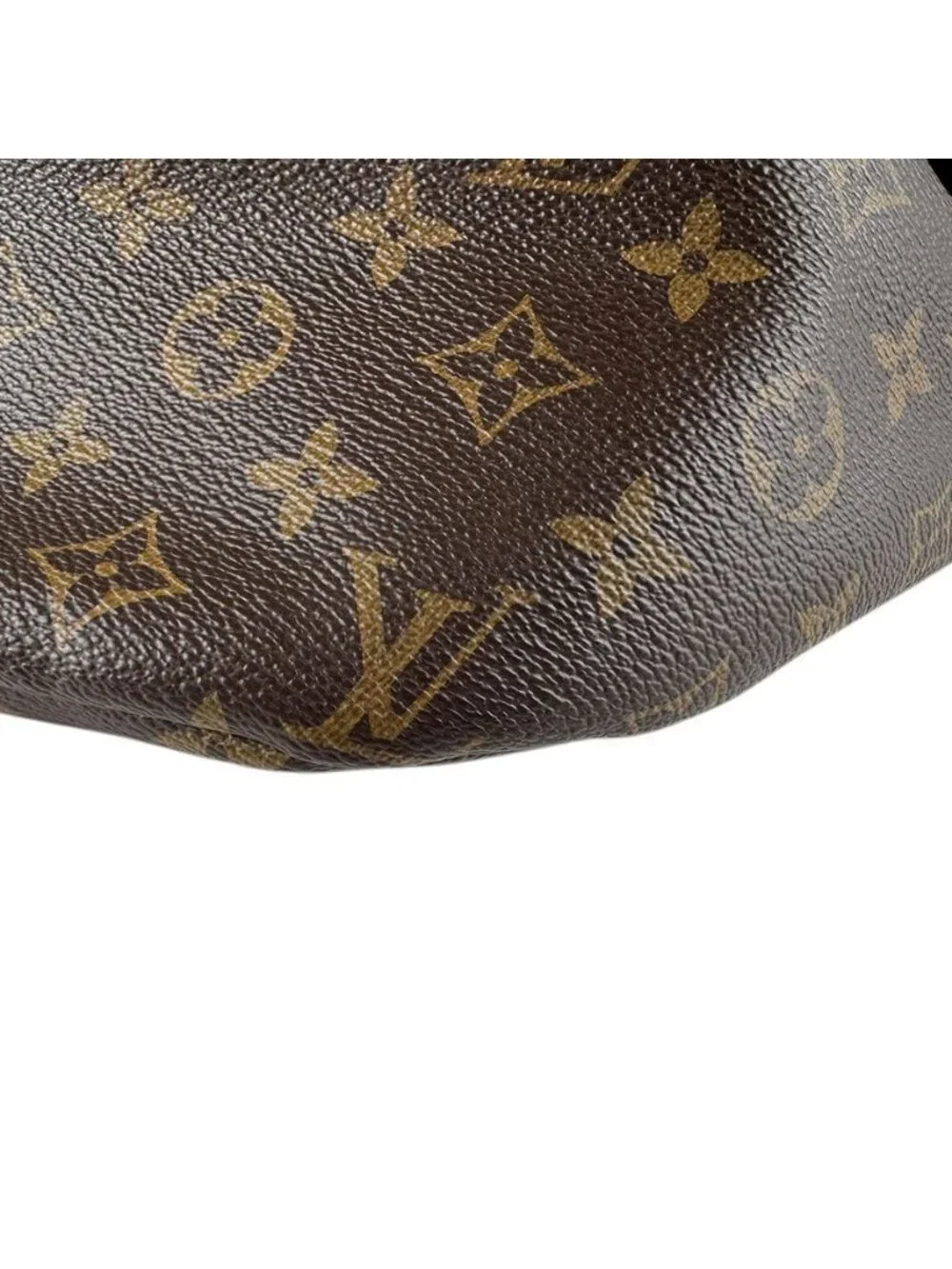 Louis Vuitton Belt Bag Monogram - Picture 9 of 10